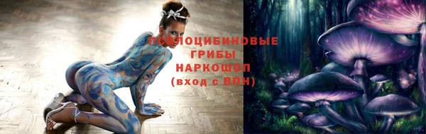apvp Арсеньев