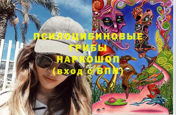 спайс Аркадак